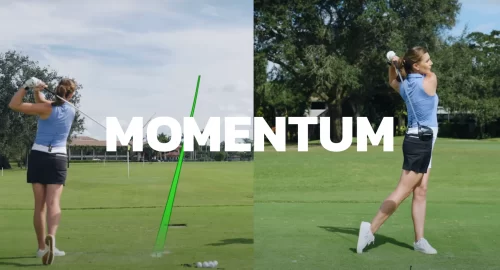 Momentum