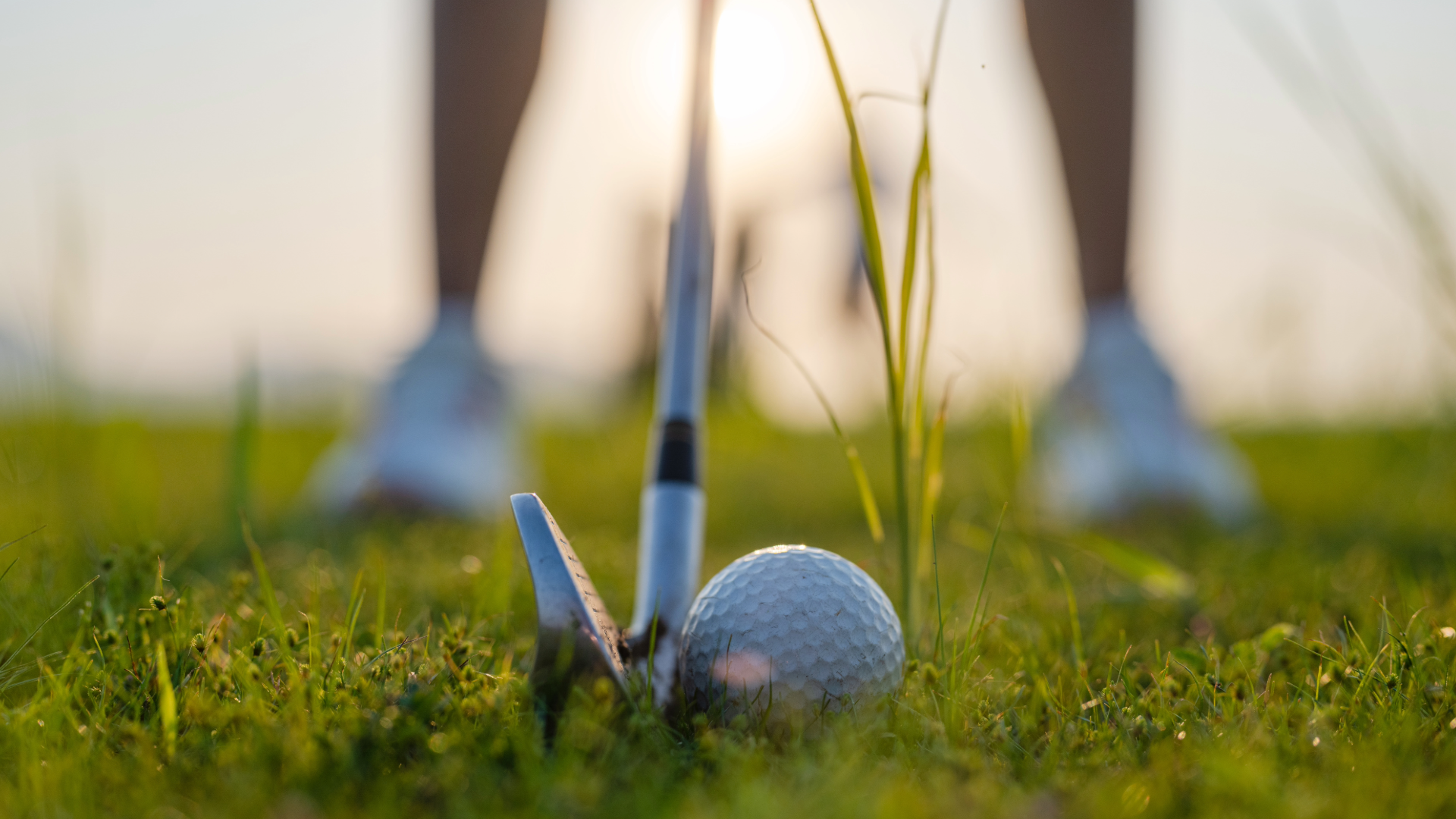 Close up of a golf ball on the green with a golf wedge.