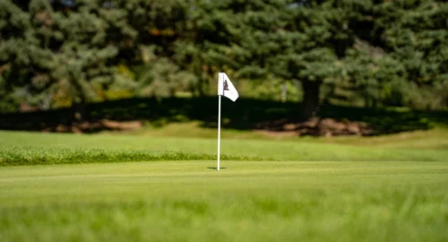A hole on a golf course of the Open Championship, with the flag featuring the claret jug.