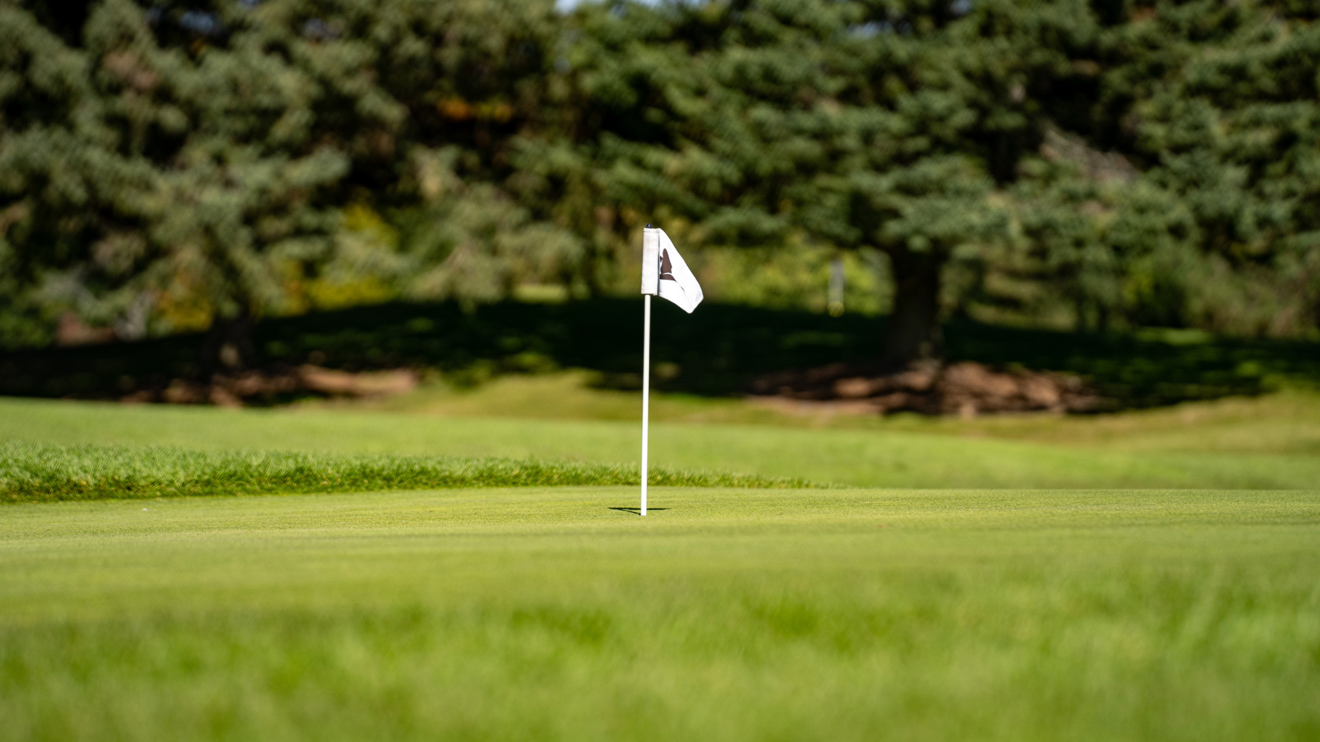 A hole on a golf course of the Open Championship, with the flag featuring the claret jug.