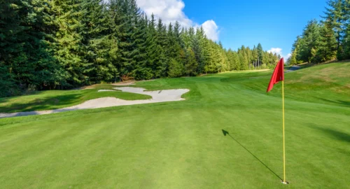 A red golf flag on a golf course with lots of pines in the background and a bunker.
