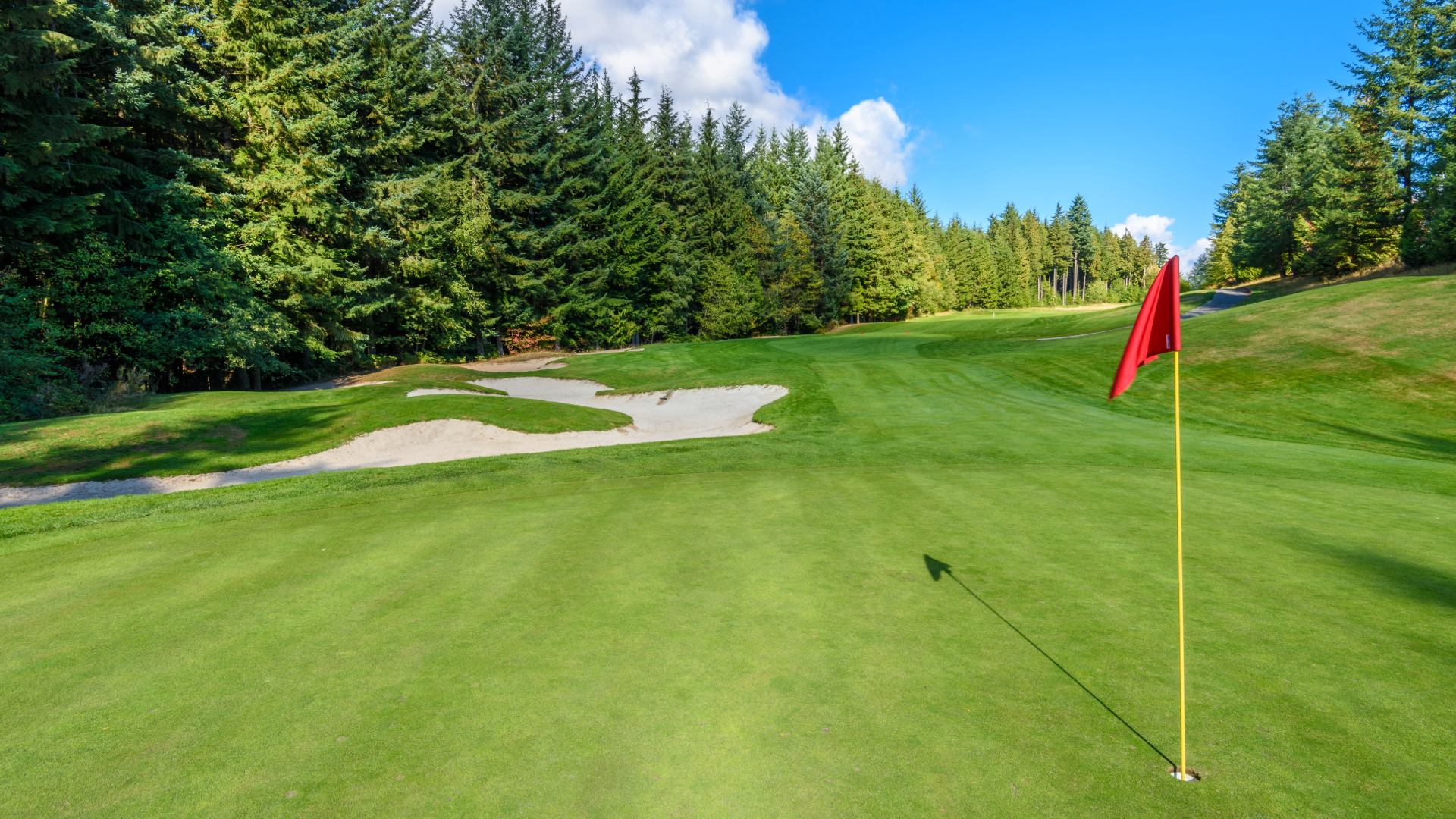 A red golf flag on a golf course with lots of pines in the background and a bunker.