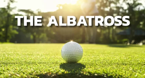 A close up of a golf ball at the hole with a text that says “the albatross” over it.