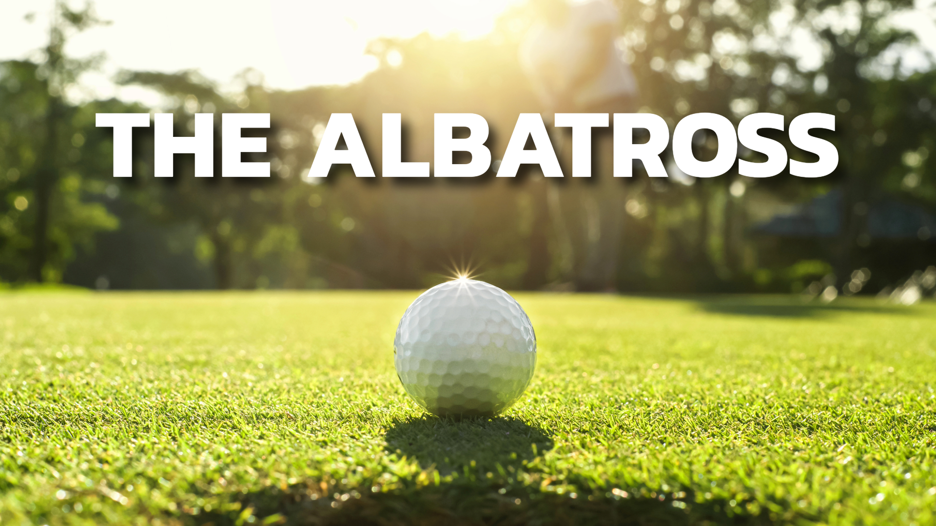 A close up of a golf ball at the hole with a text that says “the albatross” over it.