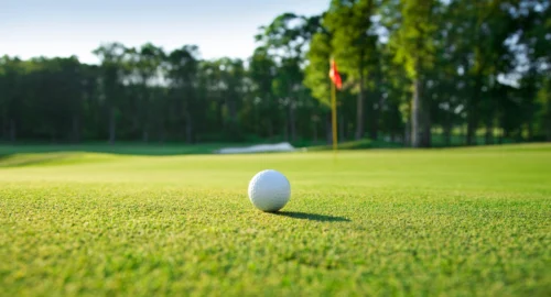 A golf ball on the golf green with a golf flag and hole in the background.